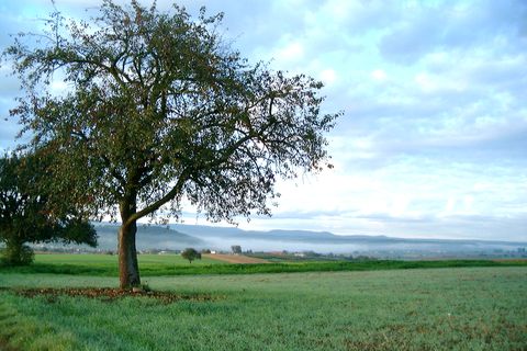 Blick auf Königsbach-Stein