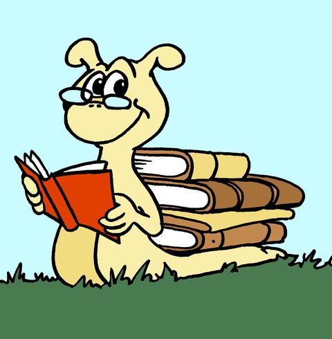 Unsere Bücherschnecke