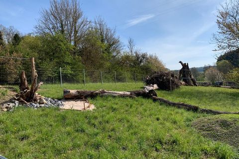 Eidechsen- und Hirschkäfer-Refugium für die HRBs Pfitztal und Lindtal