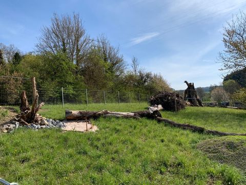 Eidechsen- und Hirschkäfer-Refugium für die HRBs Pfitztal und Lindtal